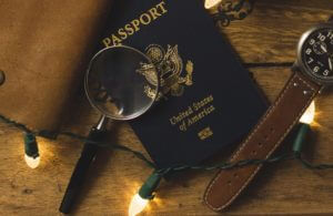 Media item displaying passport